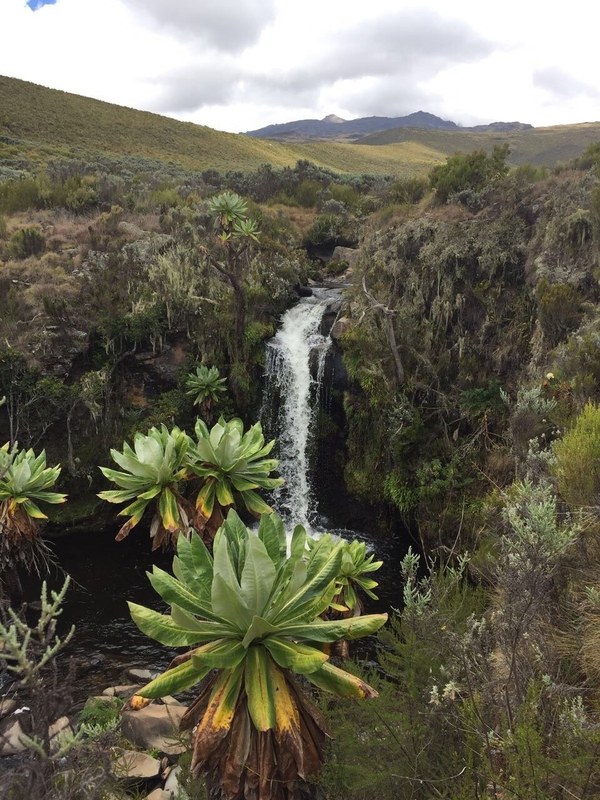 ������� �����