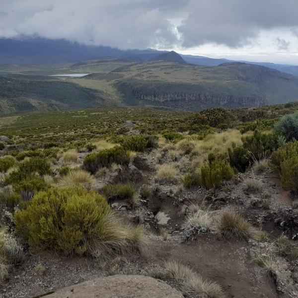 ����� �������