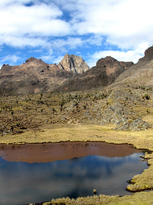 ����� �������