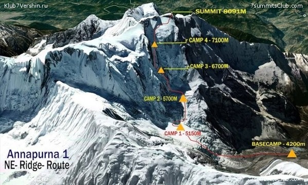 ���������. ������������� �������, ���� 11