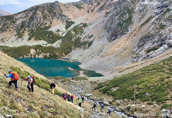 ������������� ����� ����� 7 ������ � �����, ���� 50