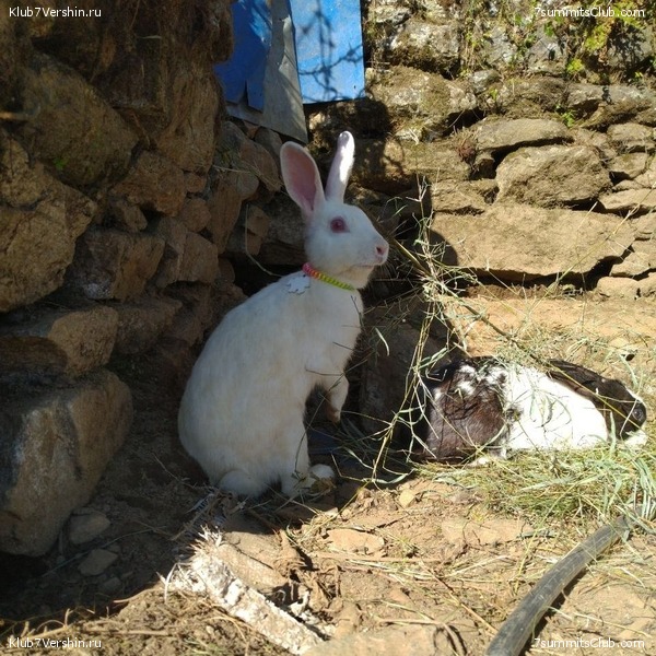 ����� 2022. ����������� �� ���-������. ������ �������, ���� 56