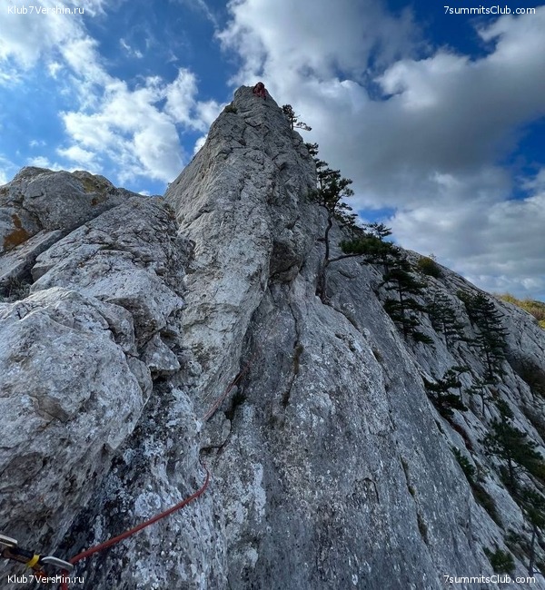 ���� 2022 ���. ���� - �����, ���� 14