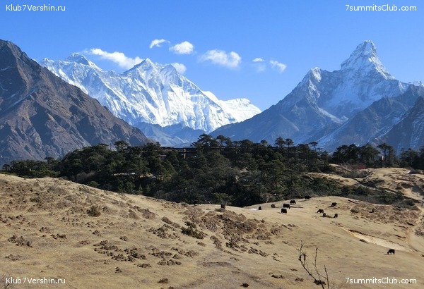 ����� 2022. ����������� �� ���-������. ������ �������, ���� 21