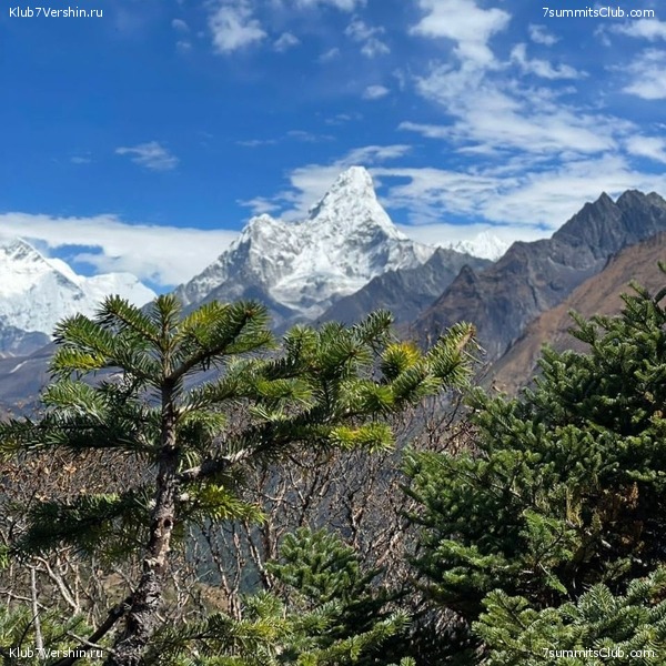 ����� 2022. ����������� �� ���-������. ������ �������, ���� 57