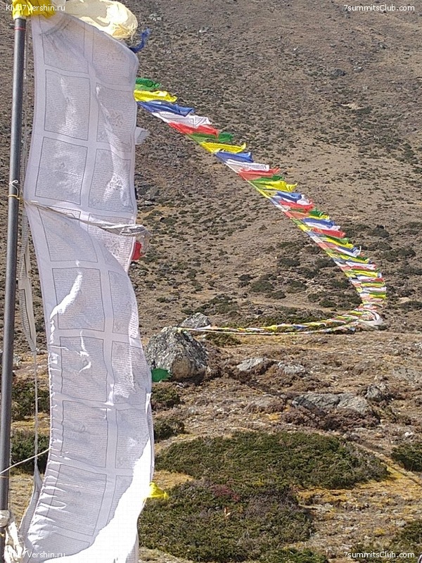 ����� 2022. ����������� �� ���-������. ������ �������, ���� 129