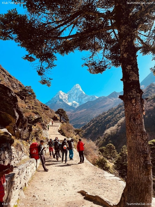 ����� 2022. ����������� �� ���-������. ������ �������, ���� 131