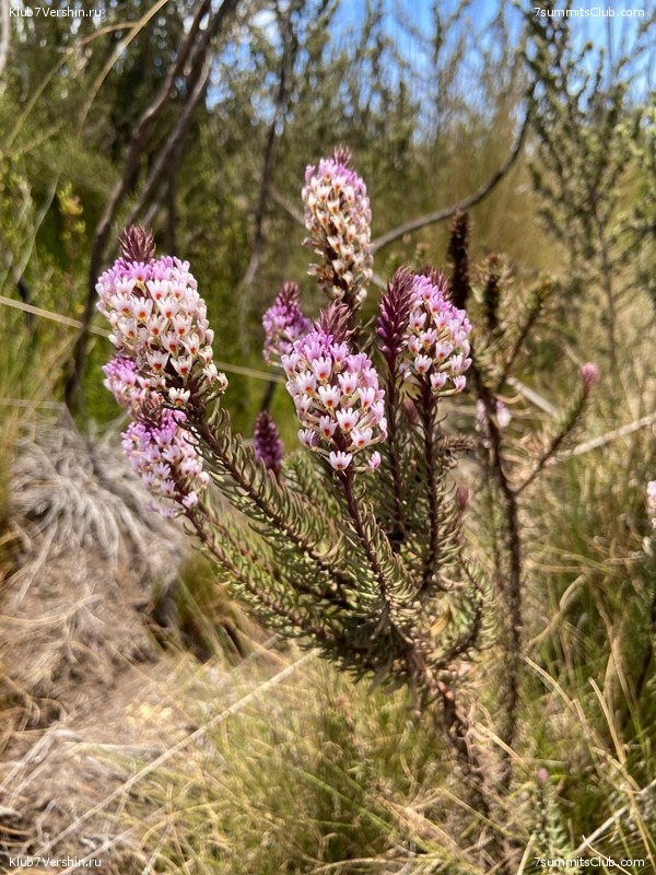 ������������ 2022. �������. ��������� ���������, ���� 89