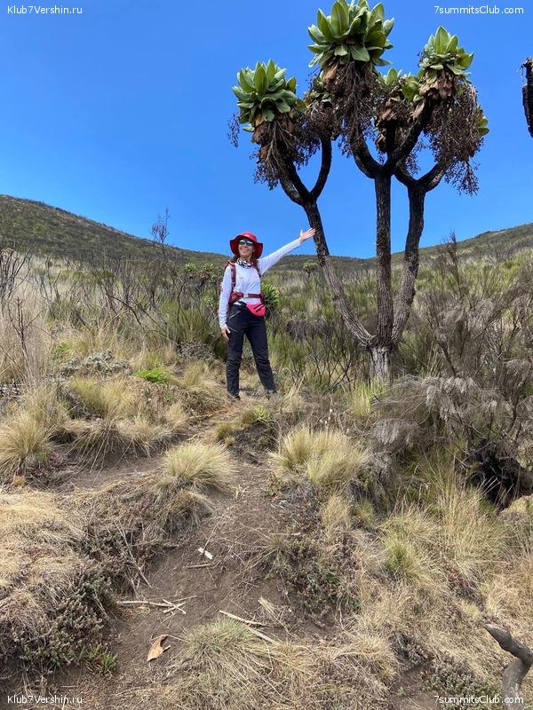 ������������ 2022. �������. ��������� ���������, ���� 90