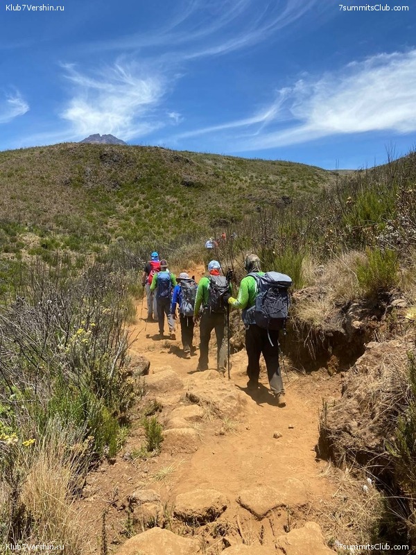 ������������ 2022. �������. ��������� ���������, ���� 91