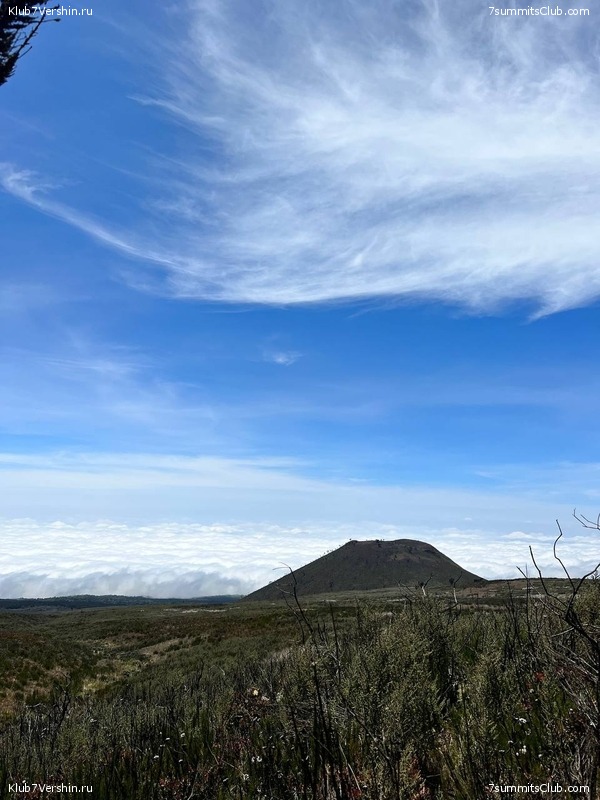 ������������ 2022. �������. ��������� ���������, ���� 93