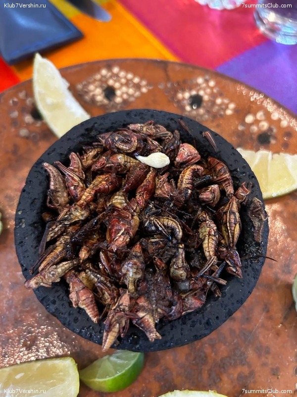 ������� 2022. ������� - ������. ��������� �������, ���� 72