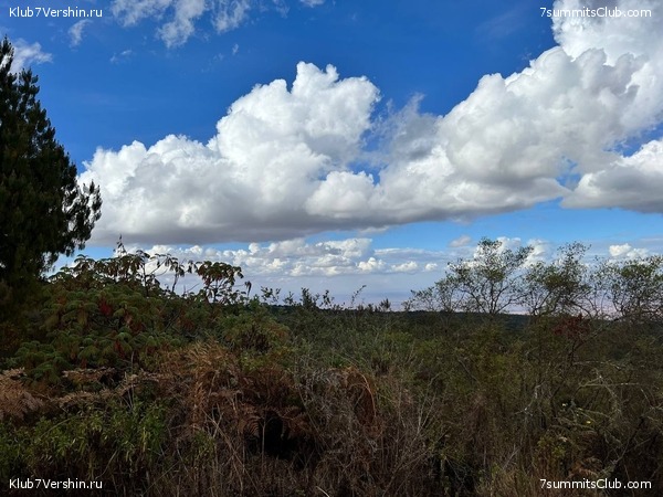 ������������ 2022. ������. ��������� ���������, ���� 17