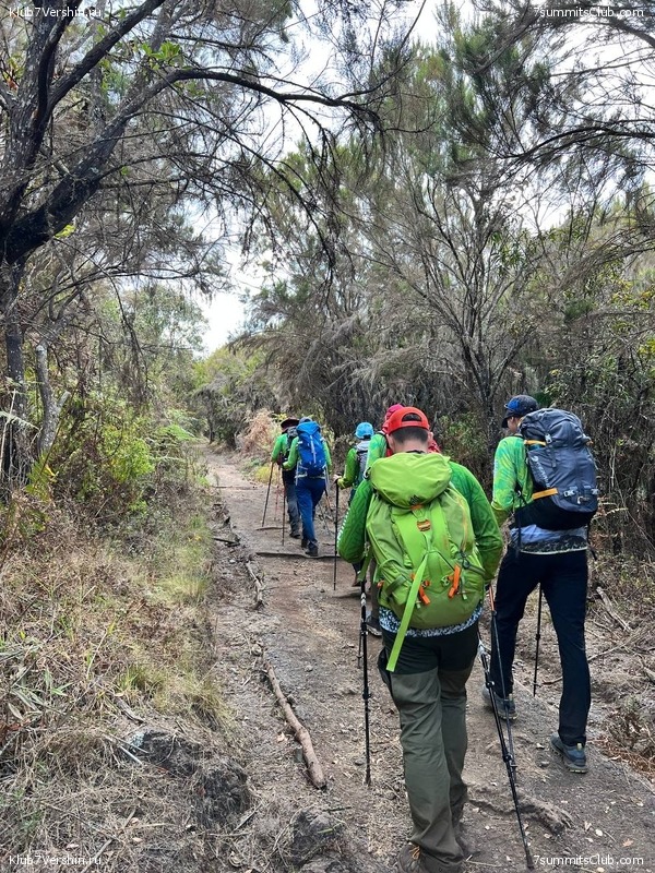 ������������ 2022. ������. ��������� ���������, ���� 44