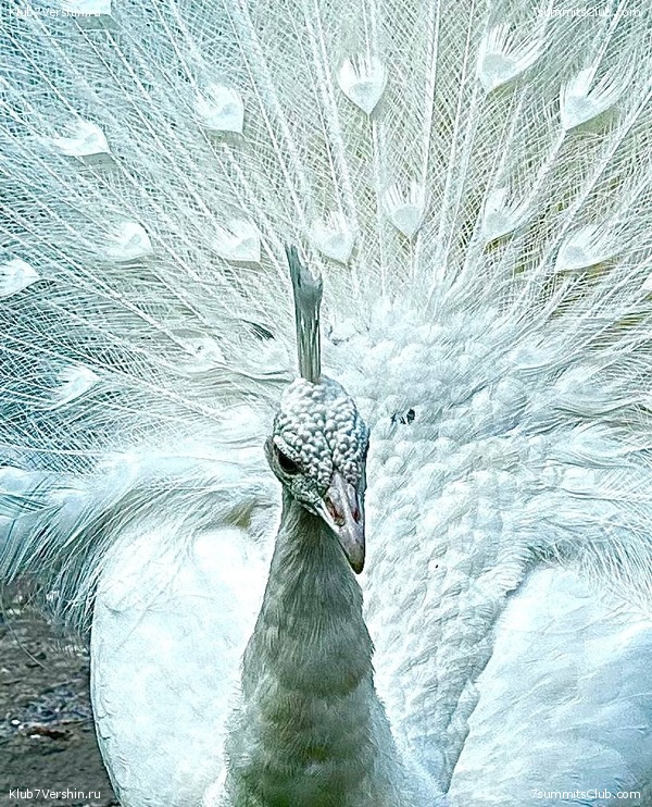 ������� 2022. ������� - ������. ��������� �������, ���� 64