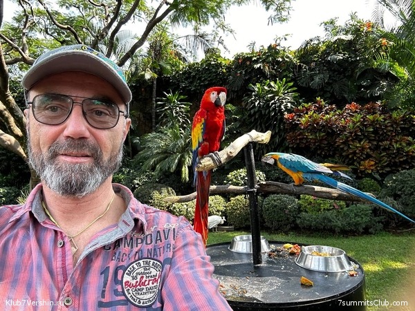 ������� 2022. ������� - ������. ��������� �������, ���� 28