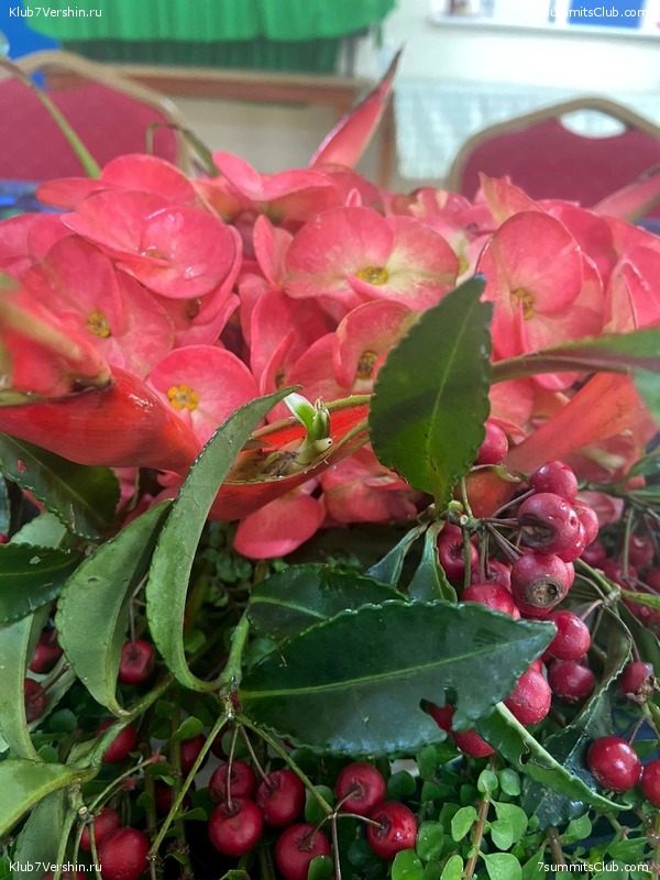 ������ 2022. ������. ����� ������, ���� 43