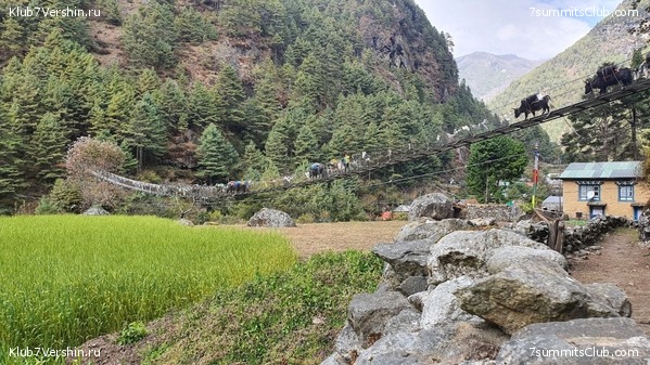 ����� 2022. ������. ���� ����� - �������. ������ �������, ���� 5