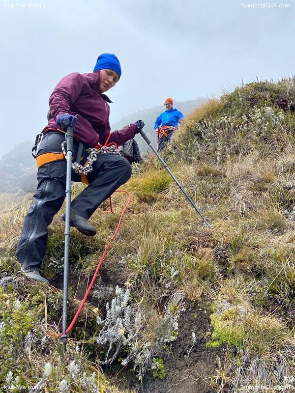 ������ 2022. ������. ����� ������, ���� 60