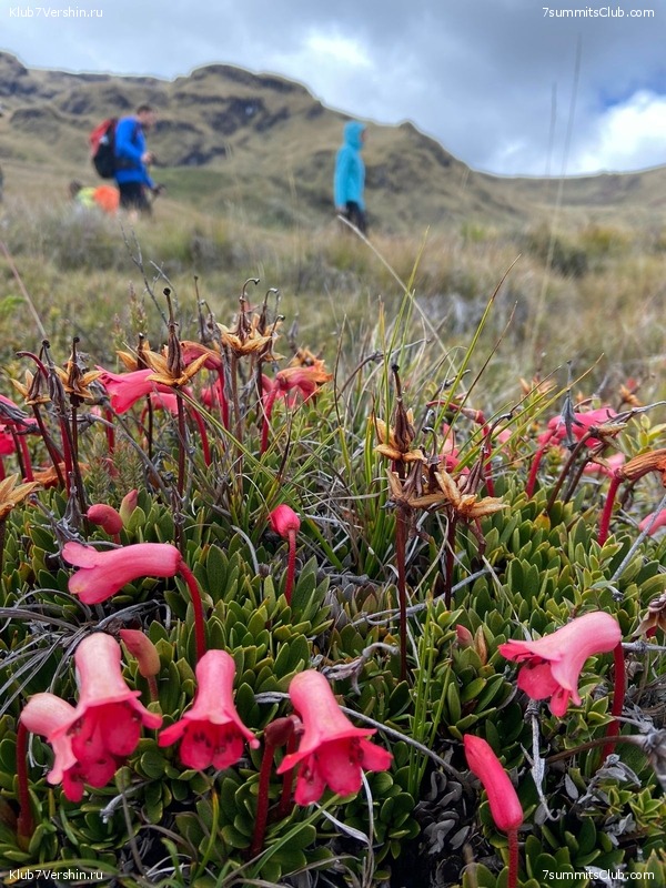 ������ 2022. ������. ����� ������, ���� 63