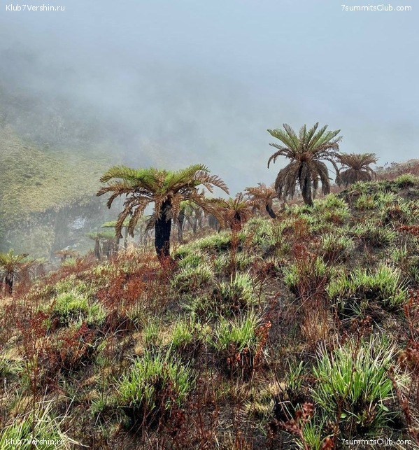 ������ 2022. ������. ����� ������, ���� 30