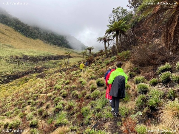 ������ 2022. ������. ����� ������, ���� 11