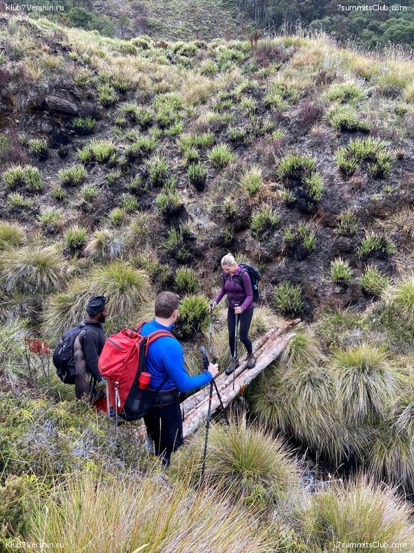 ������ 2022. ������. ����� ������, ���� 77