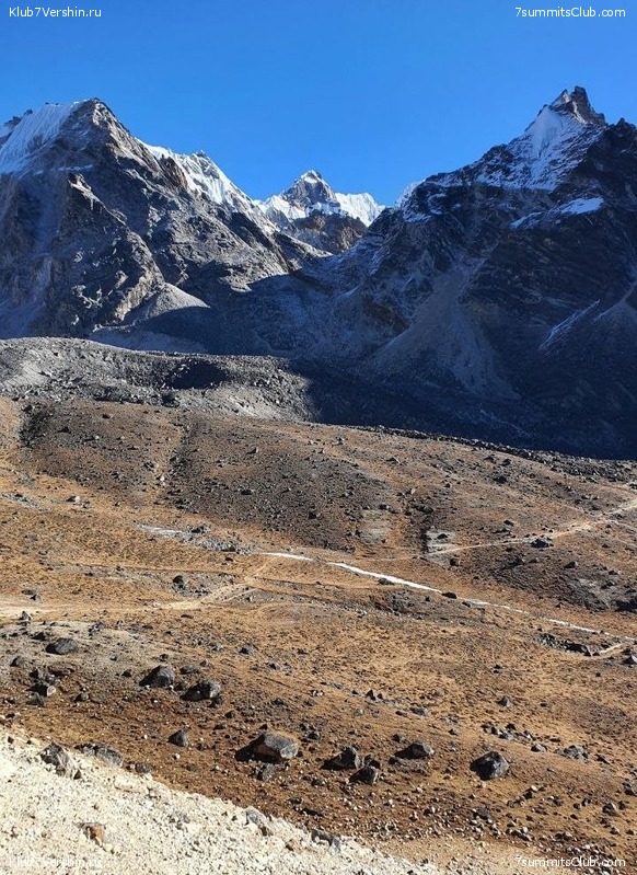  2022. .   - .  ,  41