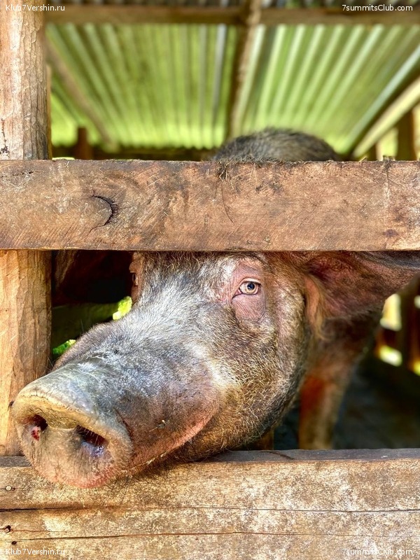 ������ 2022. ������. ����� ������, ���� 100