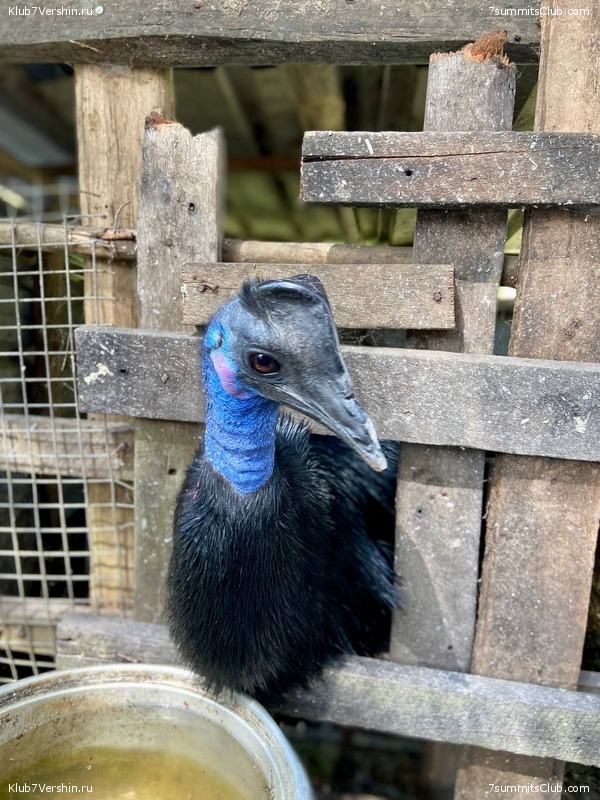 ������ 2022. ������. ����� ������, ���� 108