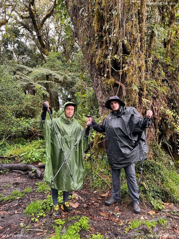 ������������ 2022. ������, ��������� ���������, ���� 37