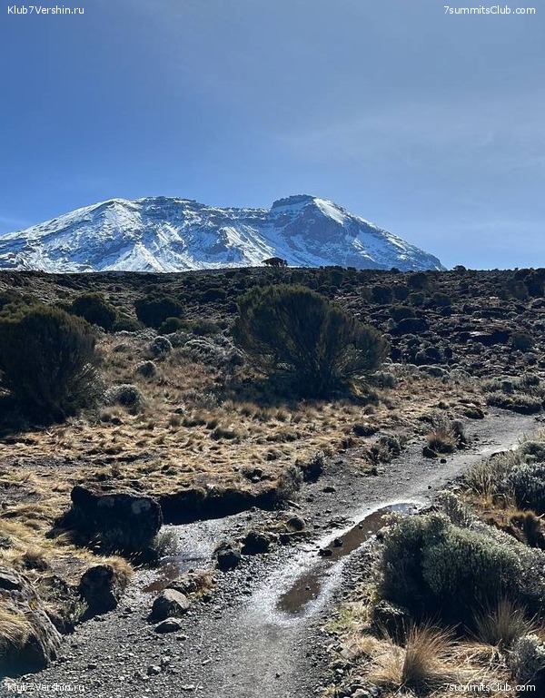 ������������ 2022. ������, ��������� ���������, ���� 33