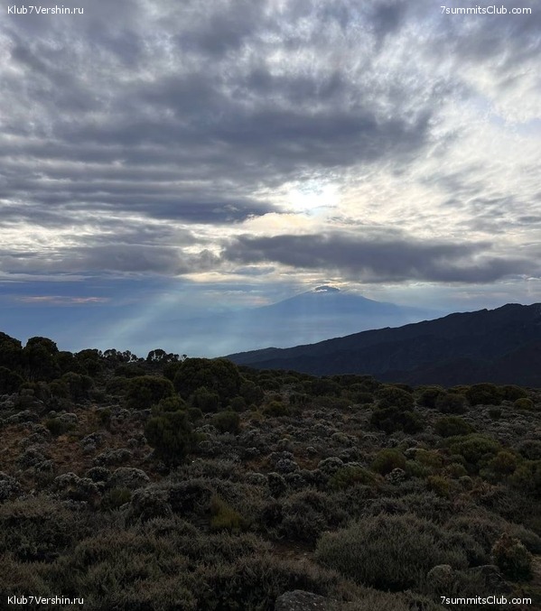 ������������ 2022. ������, ��������� ���������, ���� 26