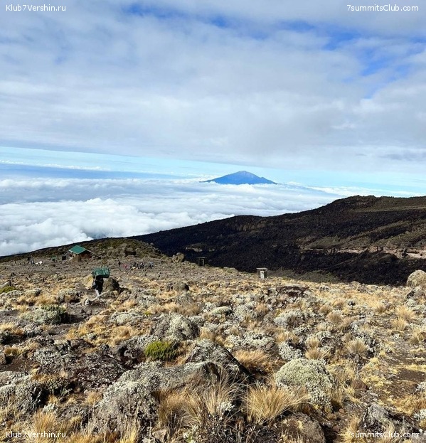 ������������ 2022. ������, ��������� ���������, ���� 21