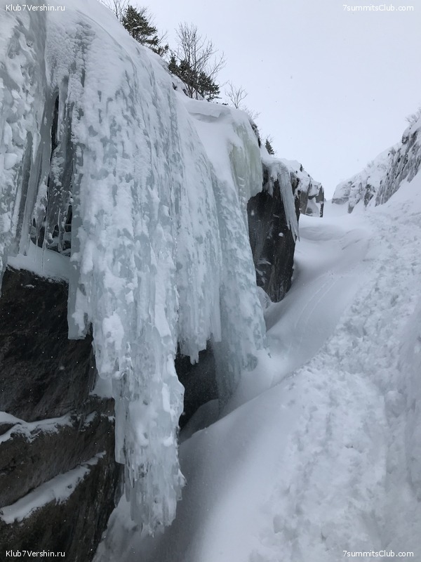 ������, ���� 33