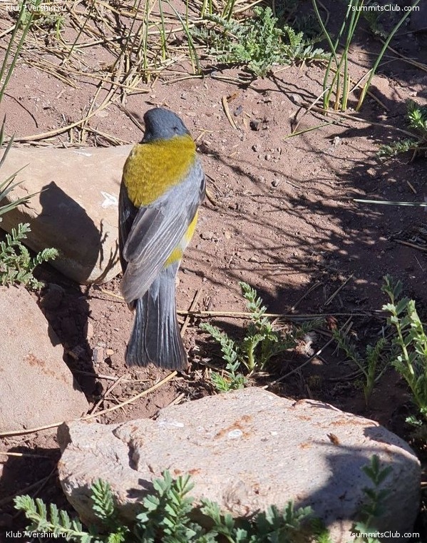 ��������� 2022 - 2023. ������ ������, ���� 43