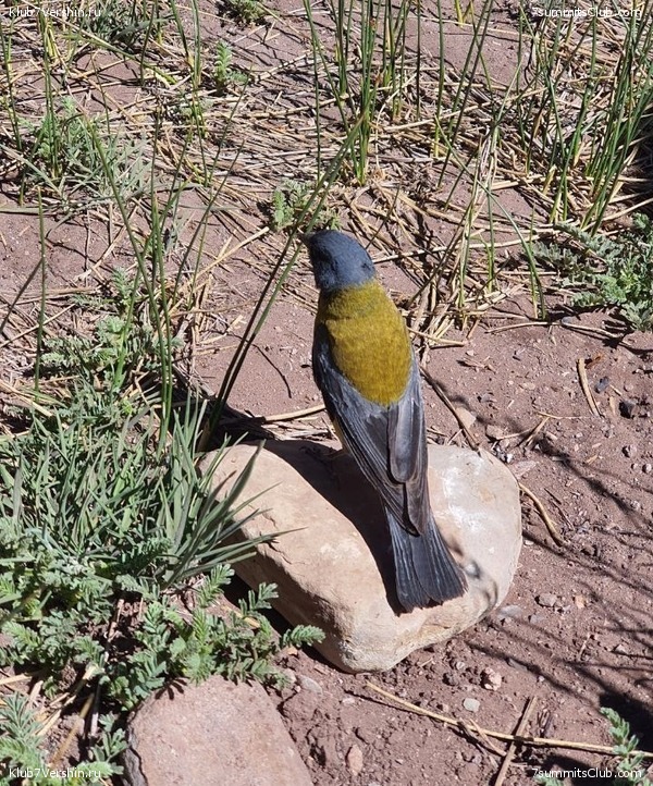 ��������� 2022 - 2023. ������ ������, ���� 38