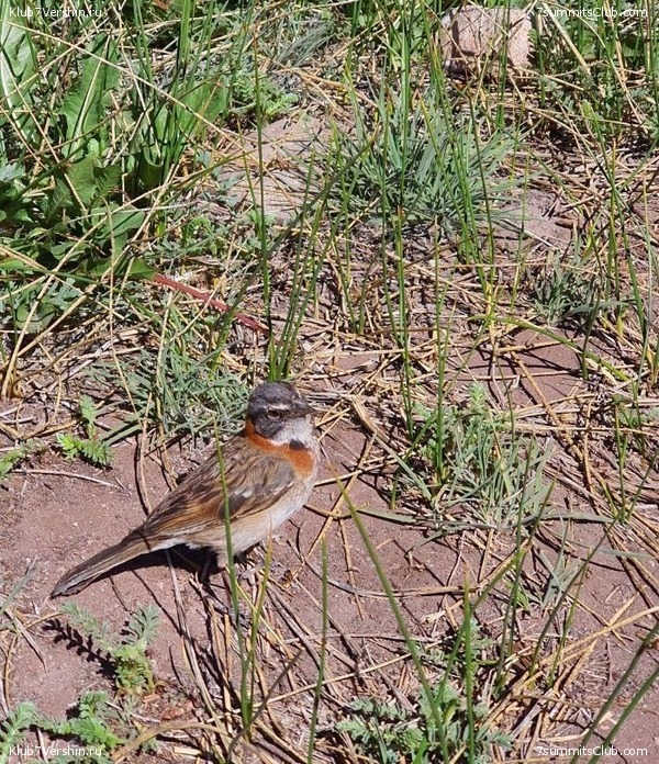 ��������� 2022 - 2023. ������ ������, ���� 33