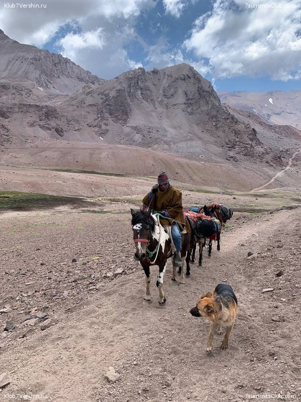 ����. ������ �����������, ���� 41