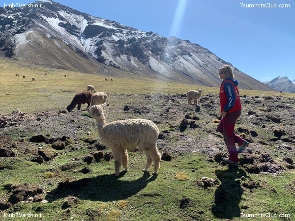 ��������� ������� � ������� ��������� � ����. 2022 �������, ���� 13