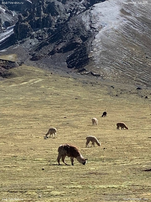 ��������� ������� � ������� ��������� � ����. 2022 �������, ���� 53