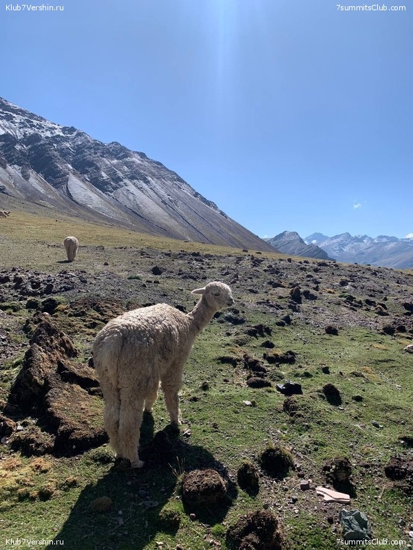 ��������� ������� � ������� ��������� � ����. 2022 �������, ���� 54