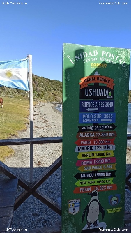 �������� �����. ����� ���������, ������� 2022 ����, ���� 49