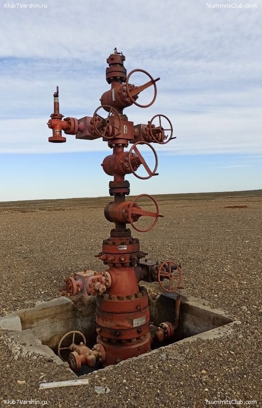 �������� �����. ����� ���������, ������� 2022 ����, ���� 47