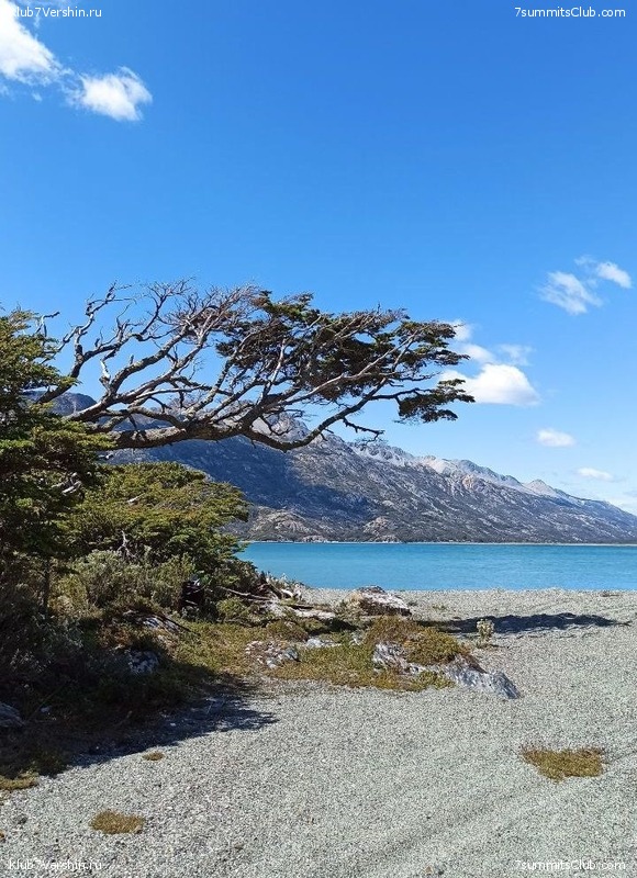 �������� �����. ����� ���������, ������� 2022 ����, ���� 39