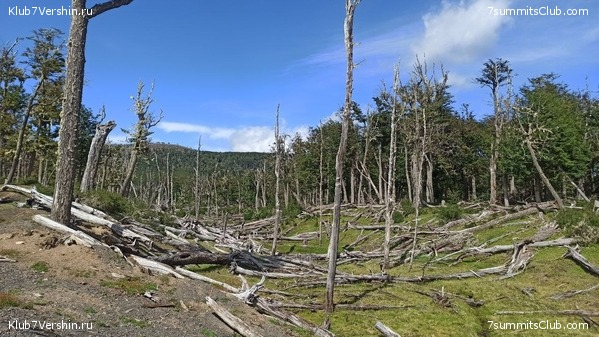 �������� �����. ����� ���������, ������� 2022 ����, ���� 26