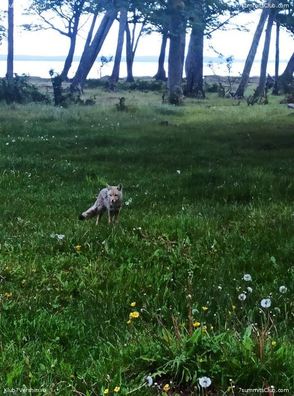 �������� �����. ����� ���������, ������� 2022 ����, ���� 36