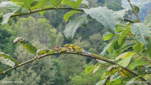 ������������ 2022 - 2023. ���������� ������, ���� 7