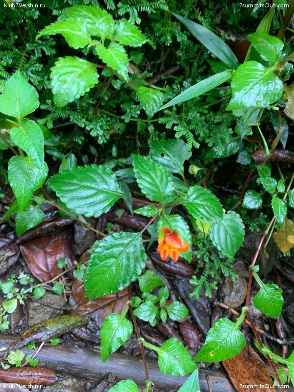 ������������ 2022 - 2023. ���������� ������, ���� 32