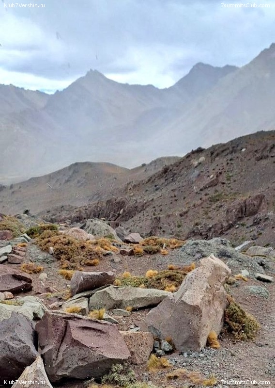 ��������� 2022 - 2023. ������ ������. ������� �������, ���� 63